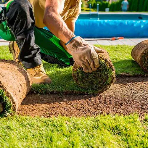 Garden & Plant Maintenance