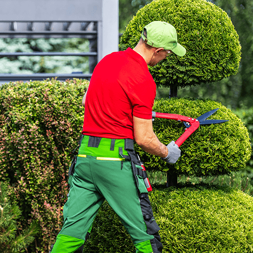 lawn care